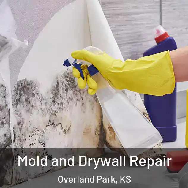  Mold and Drywall Repair Overland Park, KS