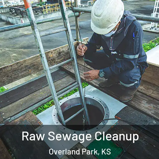  Raw Sewage Cleanup Overland Park, KS