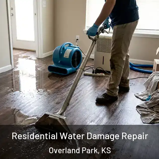  Residential Water Damage Repair Overland Park, KS