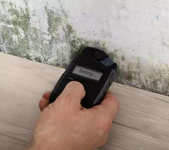 Mold Remediation Service Overland Park
