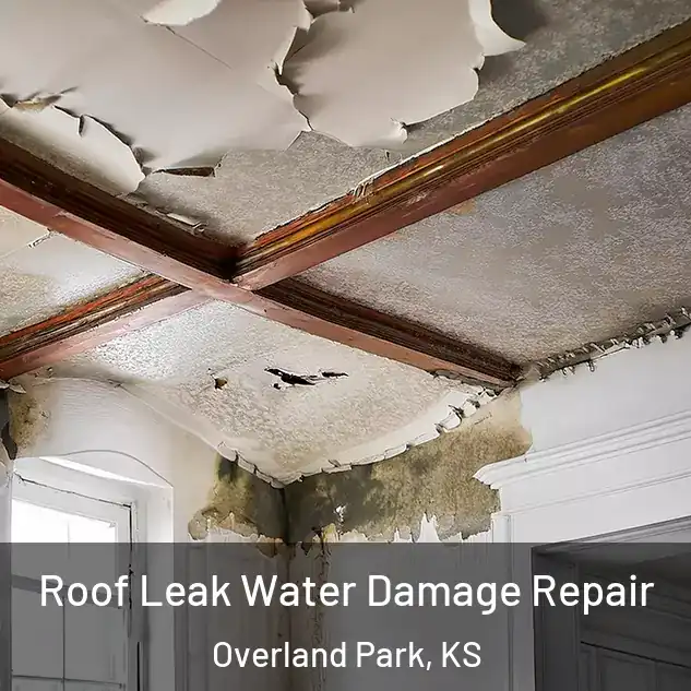  Roof Leak Water Damage Repair Overland Park, KS