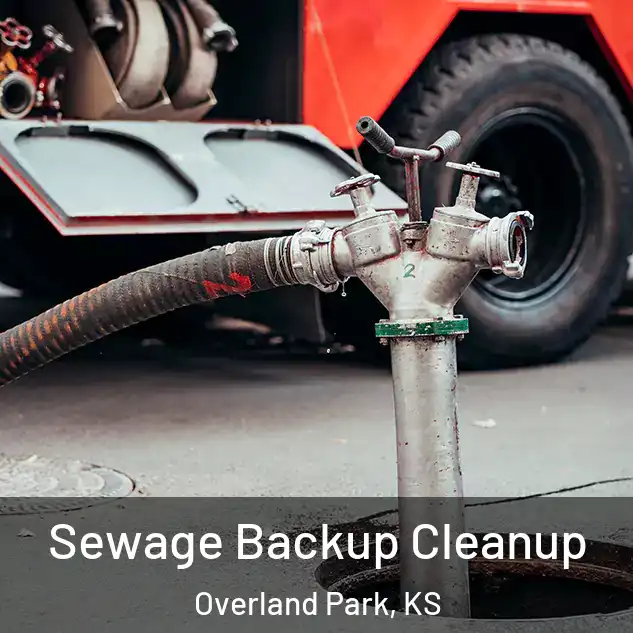 Sewage Backup Cleanup Overland Park, KS