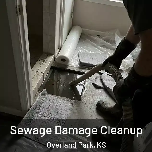 Sewage Damage Cleanup Overland Park, KS