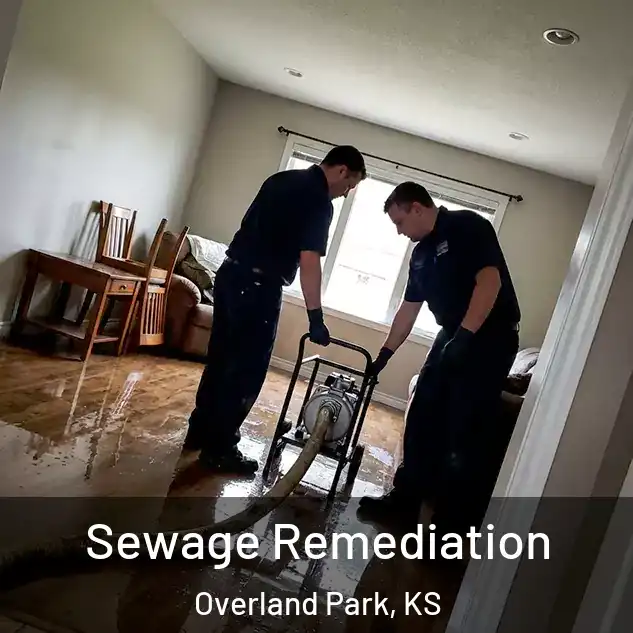  Sewage Remediation Overland Park, KS