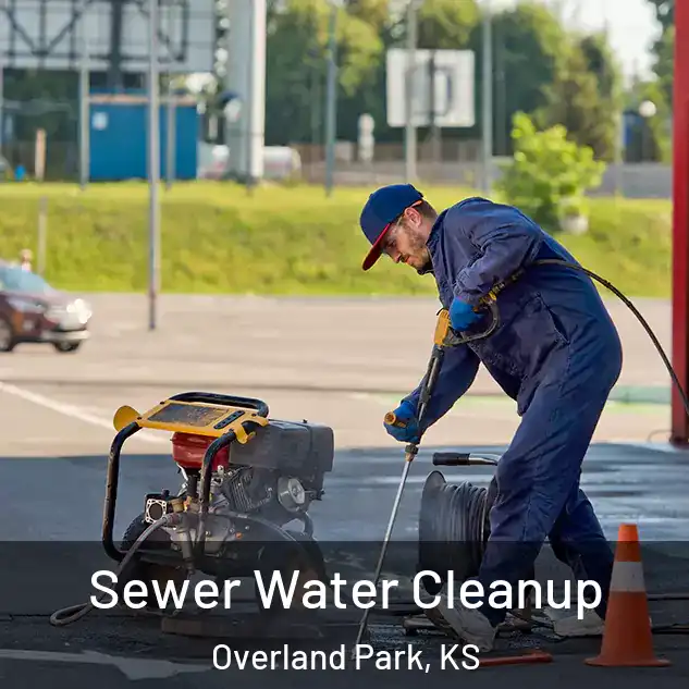  Sewer Water Cleanup Overland Park, KS