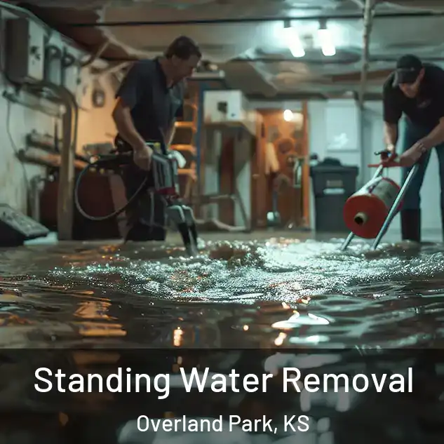  Standing Water Removal Overland Park, KS
