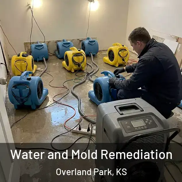 Water and Mold Remediation Overland Park, KS