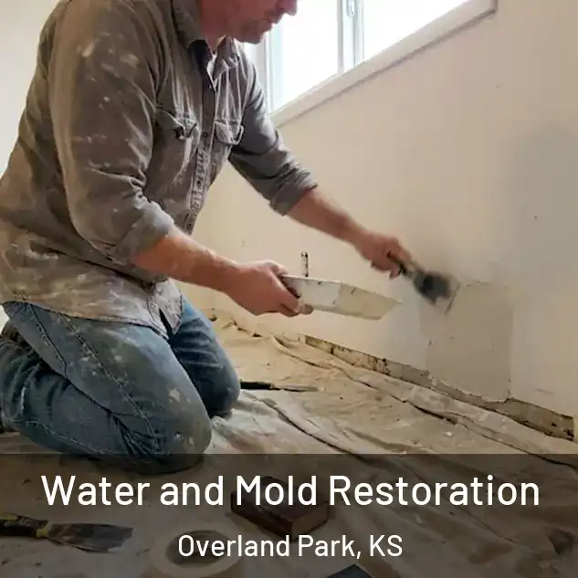  Water and Mold Restoration Overland Park, KS