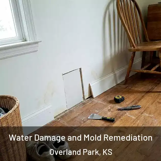  Water Damage and Mold Remediation Overland Park, KS