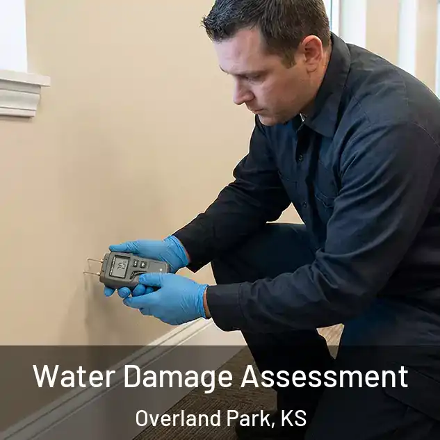  Water Damage Assessment Overland Park, KS