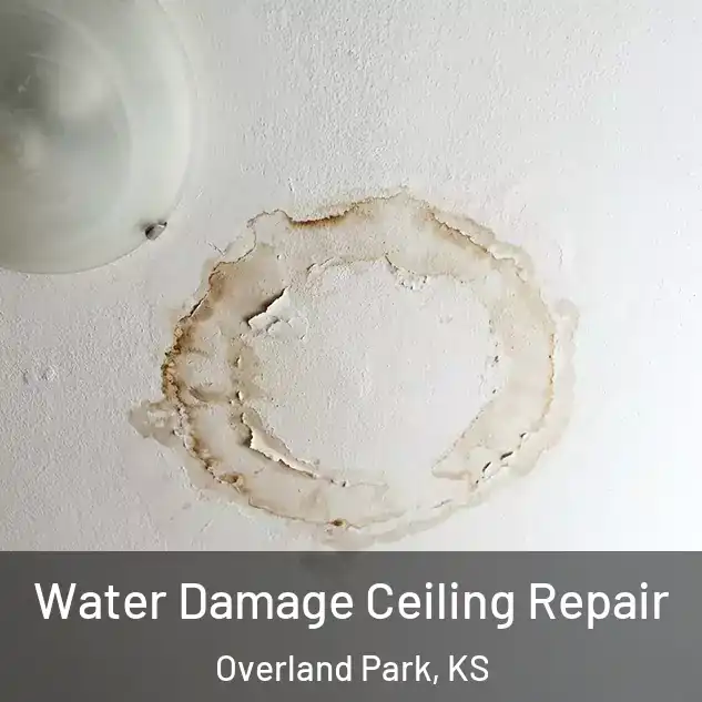  Water Damage Ceiling Repair Overland Park, KS
