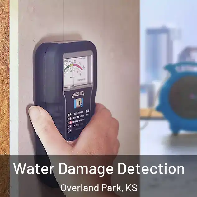  Water Damage Detection Overland Park, KS