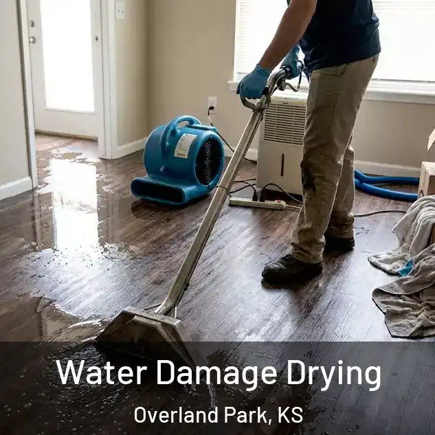 Water Damage Drying Overland Park, KS
