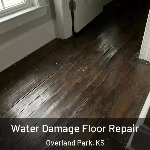  Water Damage Floor Repair Overland Park, KS