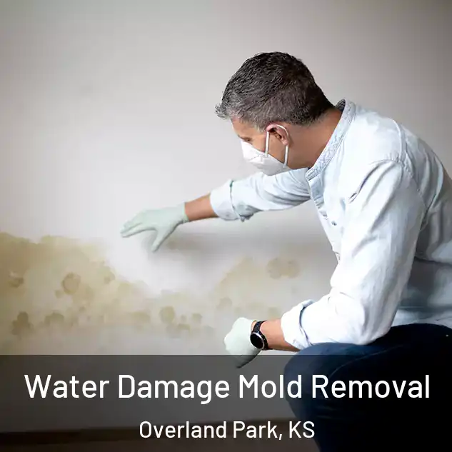  Water Damage Mold Removal Overland Park, KS