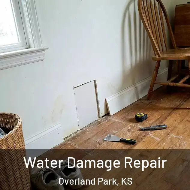 Water Damage Repair Overland Park, KS