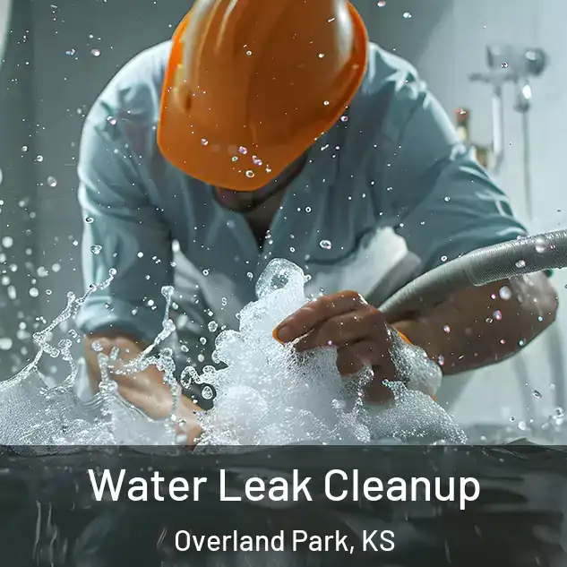  Water Leak Cleanup Overland Park, KS
