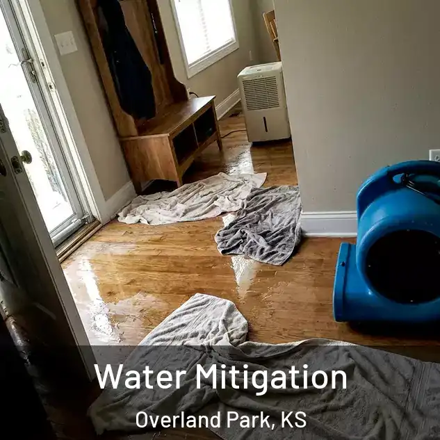  Water Mitigation Overland Park, KS