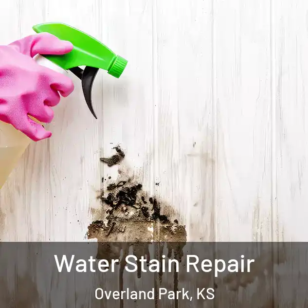  Water Stain Repair Overland Park, KS