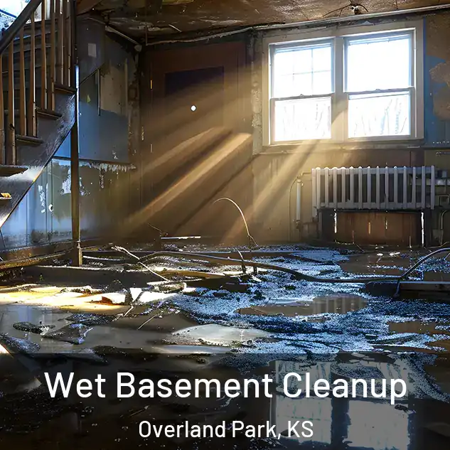  Wet Basement Cleanup Overland Park, KS
