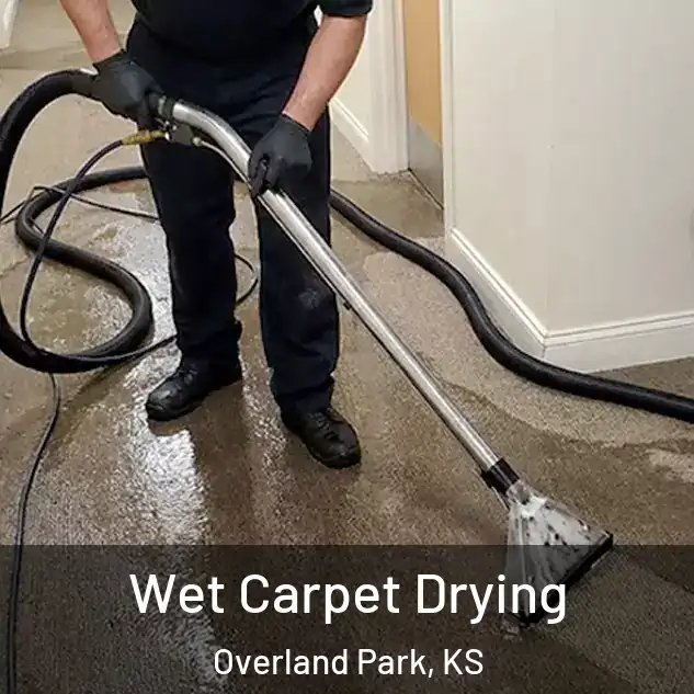  Wet Carpet Drying Overland Park, KS