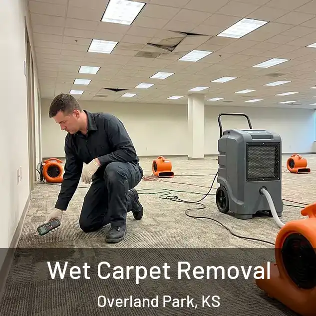  Wet Carpet Removal Overland Park, KS